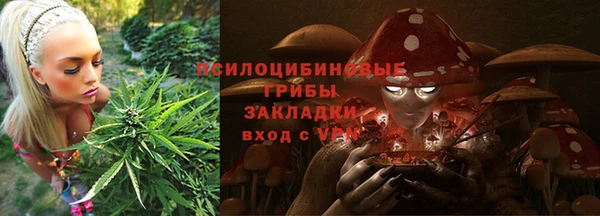 PSILOCYBIN Алексин