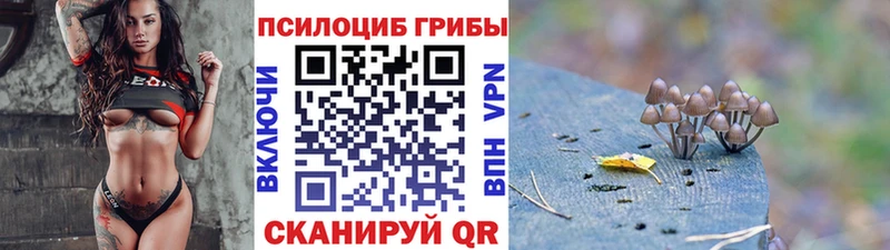 купить наркотики сайты дарк нет состав Галлюциногенные грибы Psilocybe Бакал